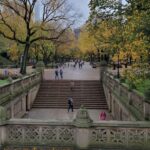 Guided Deluxe Pedicab Tour in Central Park - Who Should Book This Tour?
