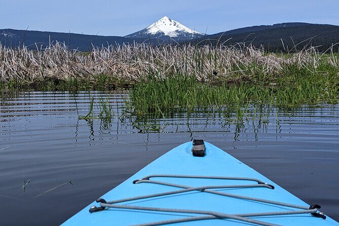 Guided Half-Day Kayak Tour - Who Should Consider This Tour?