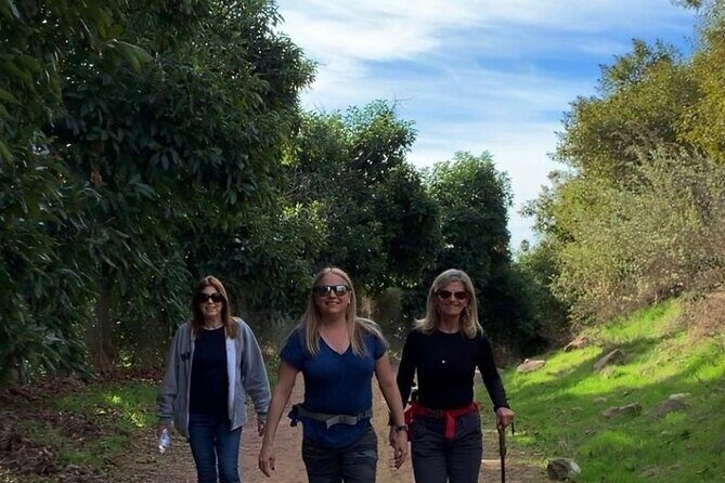 Guided Hiking Experience in Ojai - The Natural Highlights: Why This Tour Stands Out