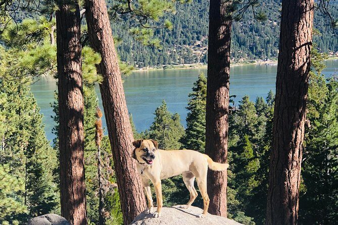 Guided Hiking Tour in Big Bear with Sunset Champagne toast on Private Dock - Authentic Insights from Reviewers