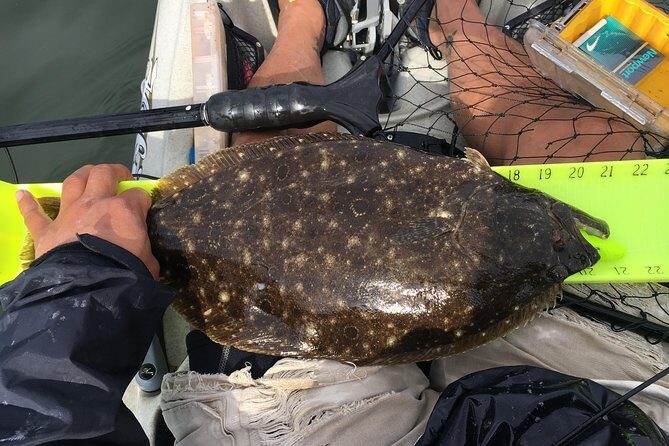 Guided Kayak Fishing Tour - What the Reviews Tell Us (Based on Existing Feedback)