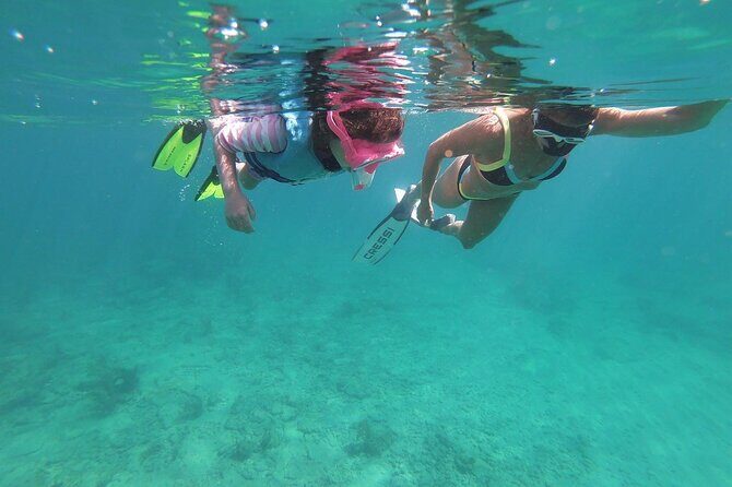 Guided Reef Snorkeling Tour in Pompano Beach - The Marine Life You Might Encounter