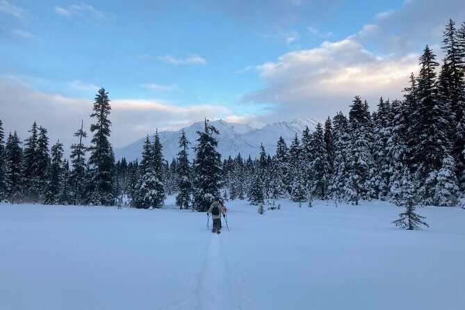 Guided Snowshoeing Adventure in Seward, Alaska - Authentic Insights from Reviews