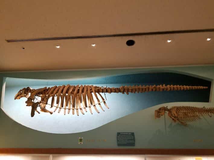 Guided Tour of The Natural History Museum - Deep Dive into the Exhibits