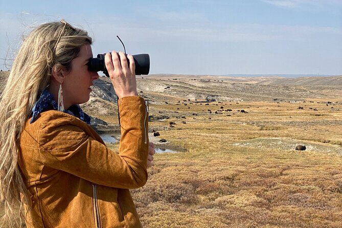 Guided Yellowstone National Park Trip - Why Choose This Tour?