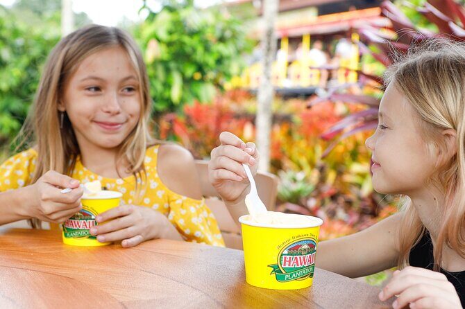 Haleiwa Express & Dole Plantation - Who Would Love This Tour?