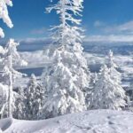 Half-Day Guided Backcountry Ski Touring Experience near Incline Village - Value and Who Should Consider This Tour
