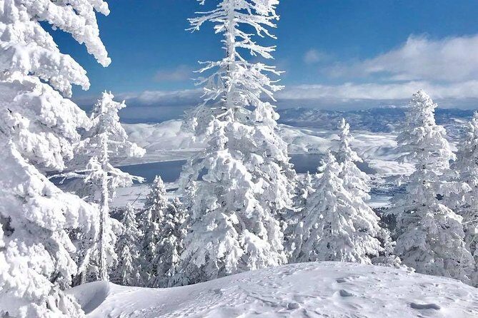 Half-Day Guided Backcountry Ski Touring Experience near Incline Village - Value and Who Should Consider This Tour