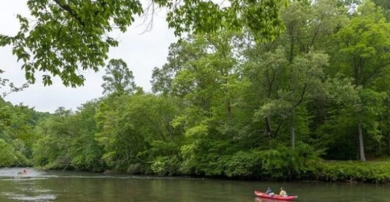 Half Day Kayak Adventure for 2 people - Who Will Love This?