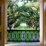 Half-Day Oak Alley Plantation Tour in Vacherie - The Mixed Feedback: Rushed or Relaxed?