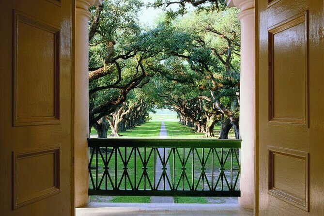 Half-Day Oak Alley Plantation Tour in Vacherie - The Mixed Feedback: Rushed or Relaxed?