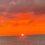 Half Day Private Fishing Trip with Site Seeing Around Anna Maria Island - An In-Depth Look at the Experience