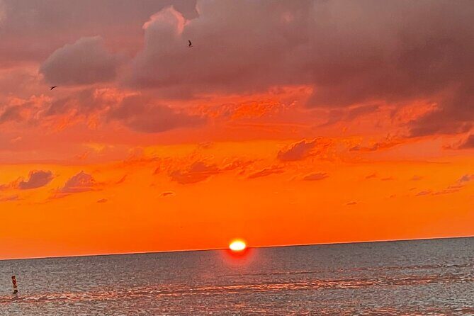 Half Day Private Fishing Trip with Site Seeing Around Anna Maria Island - An In-Depth Look at the Experience