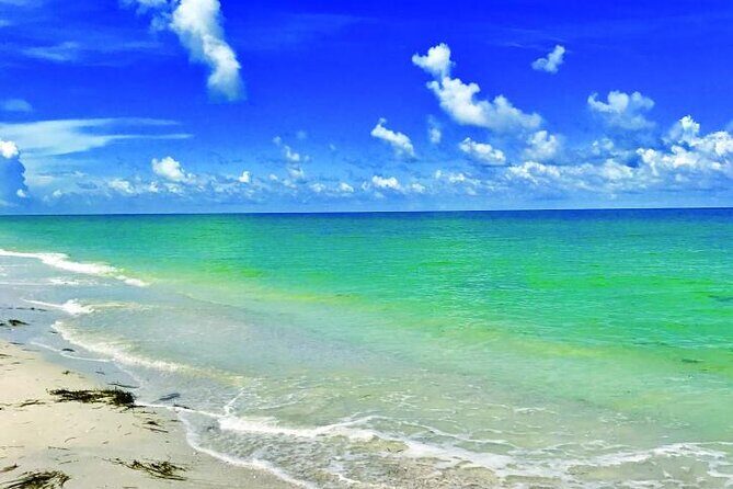 Half-Day Private Guided Nature of Floridas Gulf Coast Eco Tour - FAQ