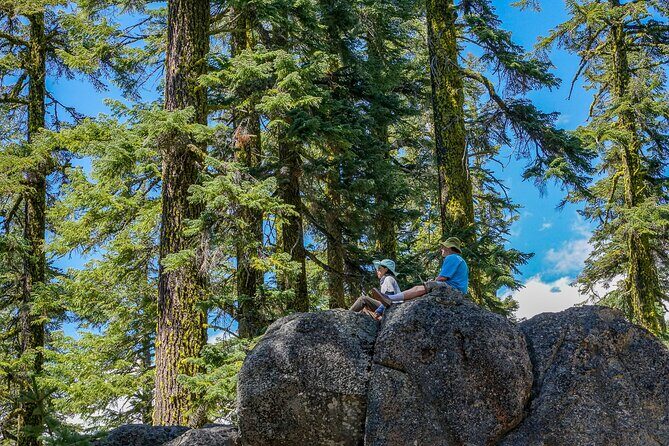 Half Day Tour to Faery Waterfalls, Castle Lake and Mount Shasta - A Deep Dive into the Mount Shasta Experience