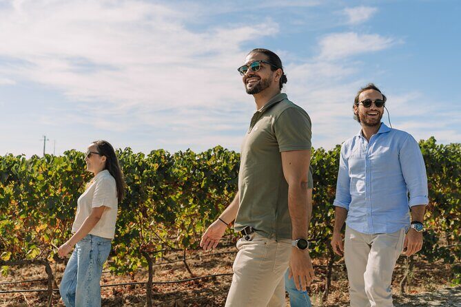 Half Day Wine Tour Around Evora - The Itinerary: What to Expect Step-by-Step