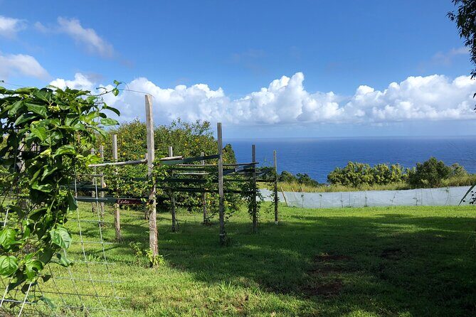 Hamakua Coast Farm Small-Group Walking and Tasting Tour - Who Will Love This Tour?