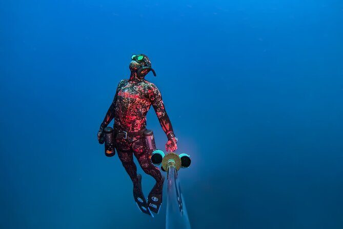 Hanauma Bay Snorkeling Reservation+Equipment Rental - What’s Included and What’s Not