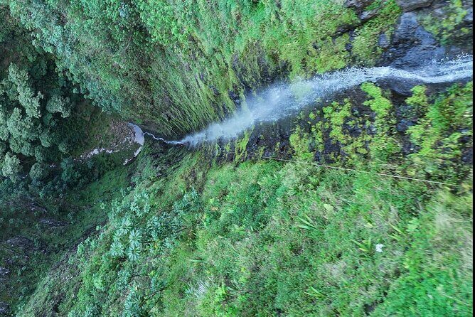 Hawaii Oahu Canyon Rappel & Hike Expedition Tour - Who Should Consider This Tour?