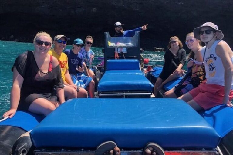 Hawai'i: Private Snorkeling Tour with Lunch and Drinks - A Deep Dive into the Private Snorkeling Experience