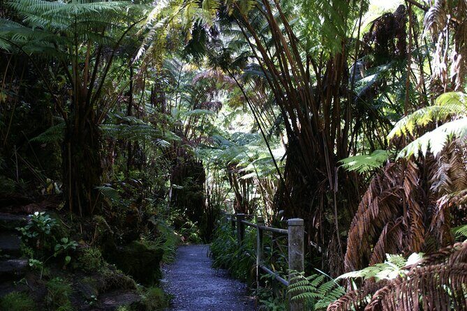 Hawaii Volcanoes National Park Experience From the Big Island - The Sum Up