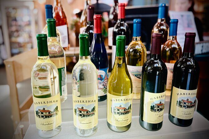 Helen N. Georgia Private Winery Tour, Dine and Shop from Atlanta - Who Would Love This Tour?
