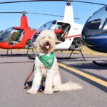 Helicopter Tour of Clearwater Beach and Belleair Country Club - Who Should Consider This Tour?