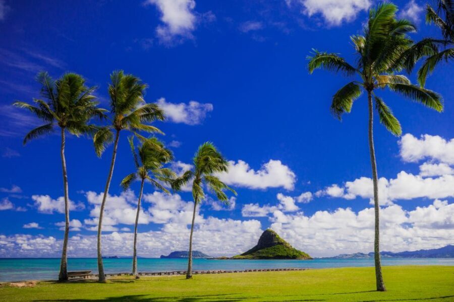 Hidden Gems of Oahu Circle Island Tour with Byodo-In Temple - What to Know Before You Book