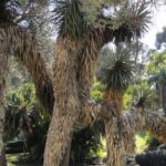 Hidden Nature Walks in the City Private Tour - Transportation and Group Size