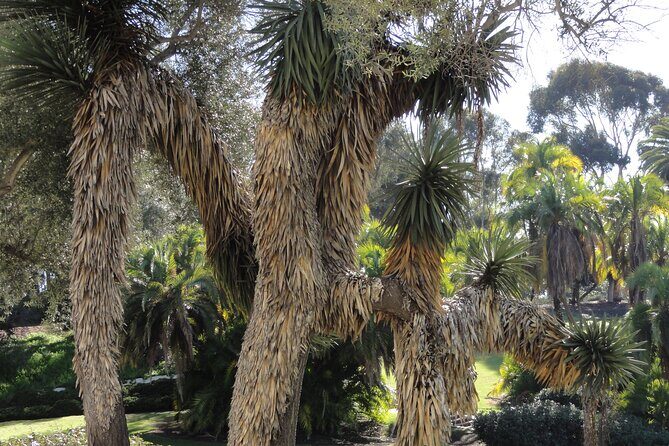 Hidden Nature Walks in the City Private Tour - Transportation and Group Size