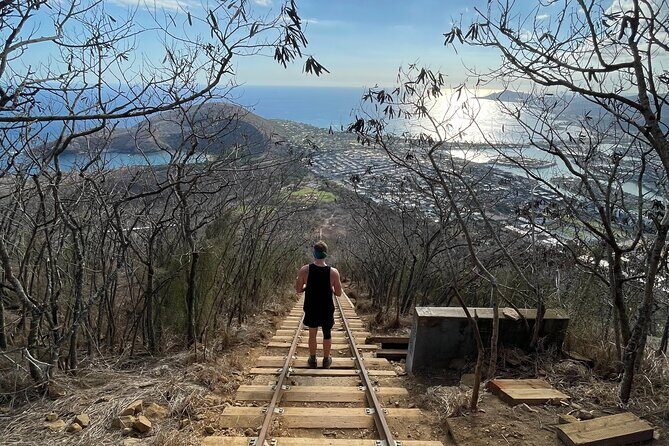 Hike to the top of KokoHead Crater - Private Transportation/Group - Analyzing the Value