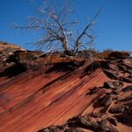 Hiking in Kanab: Walk and Photograph the incredible Wire Pass Slot Canyon! - Who Will Enjoy This Tour?