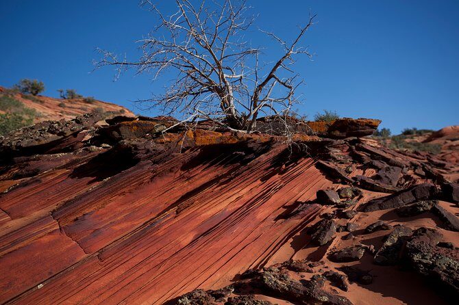 Hiking in Kanab: Walk and Photograph the incredible Wire Pass Slot Canyon! - Who Will Enjoy This Tour?