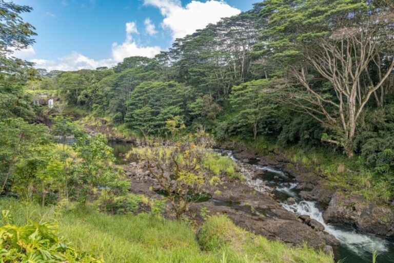 Hilo: Gardens, Waterfalls & Farmers Market Shore Excursion - Exploring the Beauty of Hilo’s Waterfalls and Gardens