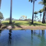 Hilo: Wailoa River to King Kamehameha Guided Kayaking Tour - Navigating the Japanese-Style Bridges