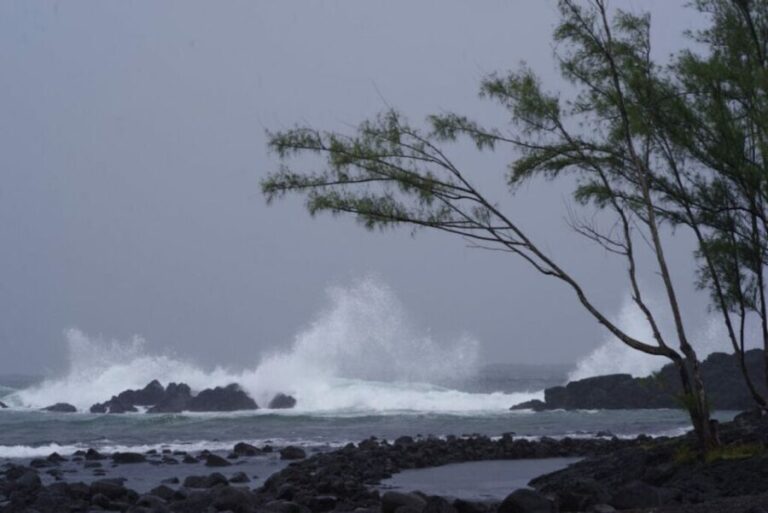 Hilo: Walking Ghost Tour - Detailed Itinerary Breakdown