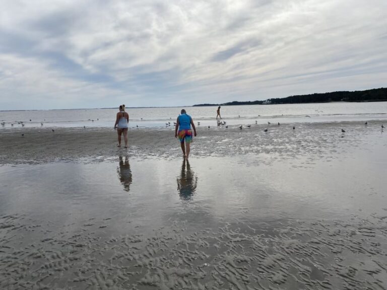 Hilton Head: Guided Disappearing Island Tour by Mini Boat - What Makes This Tour Stand Out?