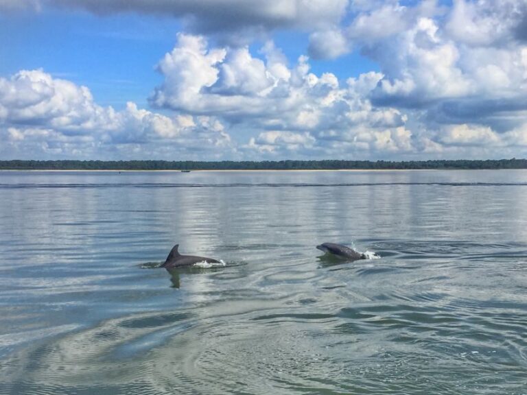Hilton Head Island: 1.5-Hour Guided Small-Group Kayak Tour - Authentic Experiences and Insights from Reviewers