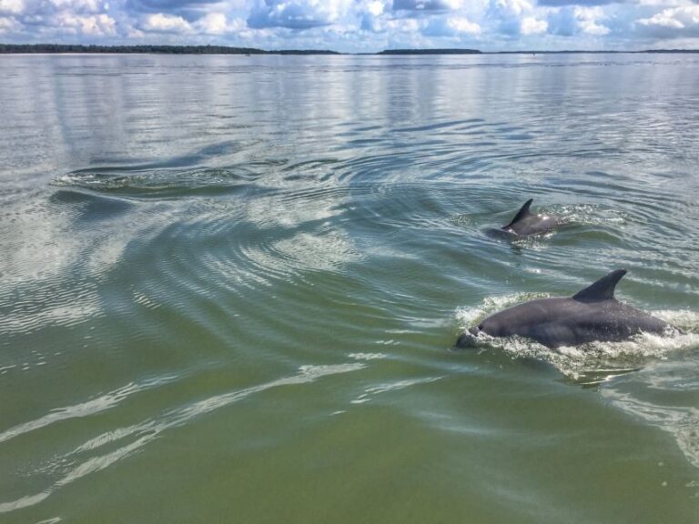 Hilton Head Island: 2-Hour Guided Creek Cat Tour - The Experience Review in a Nutshell