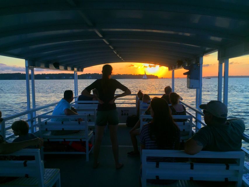 Hilton Head Island: Dolphin Tour at Sunset & Fireworks Show - What’s Included and What to Consider
