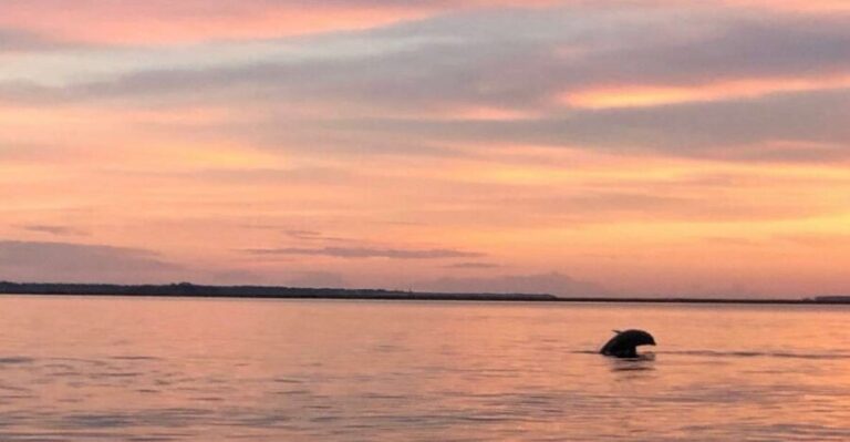 Hilton Head Island: Sunset Dolphin Watching Tour - What’s Included and What to Expect