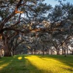 Historic Savannah Georgia Self Guided Walking Tour Bundle - Who Should Consider This Tour?