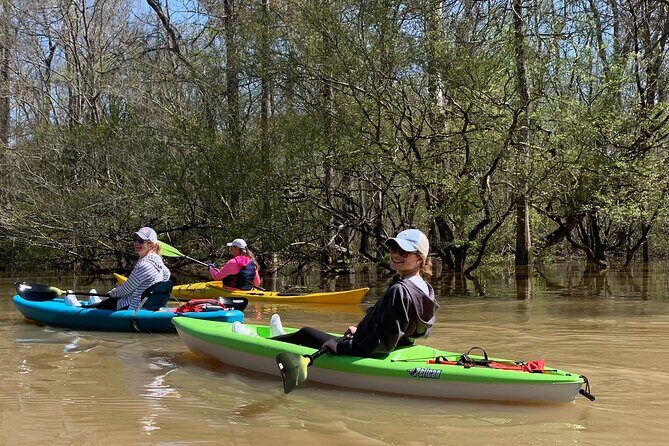 Historical Scenic Bayou Swamp Water Trail Kayak Tour - Practical Details: What You Need to Know