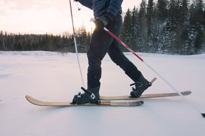 Hok ski the Knife River Loop (Two Harbors) - Who Will Love This Tour?