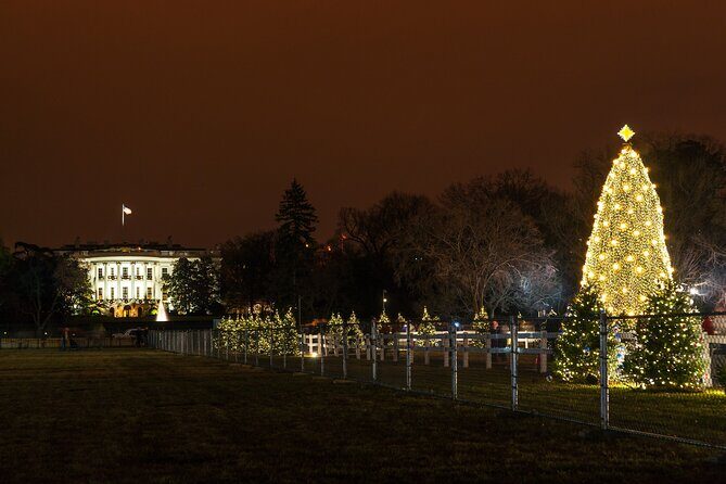 Holiday Lights Private Night Bus Tour of Washington DC - Practical Details and Tips