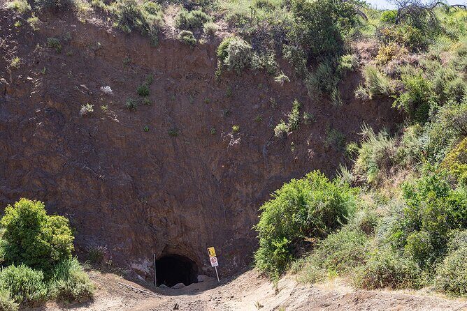 Holy Biodiversity, Batman! A Naturalist's "Batcaves" Tour - Practical Details: What to Expect and Tips