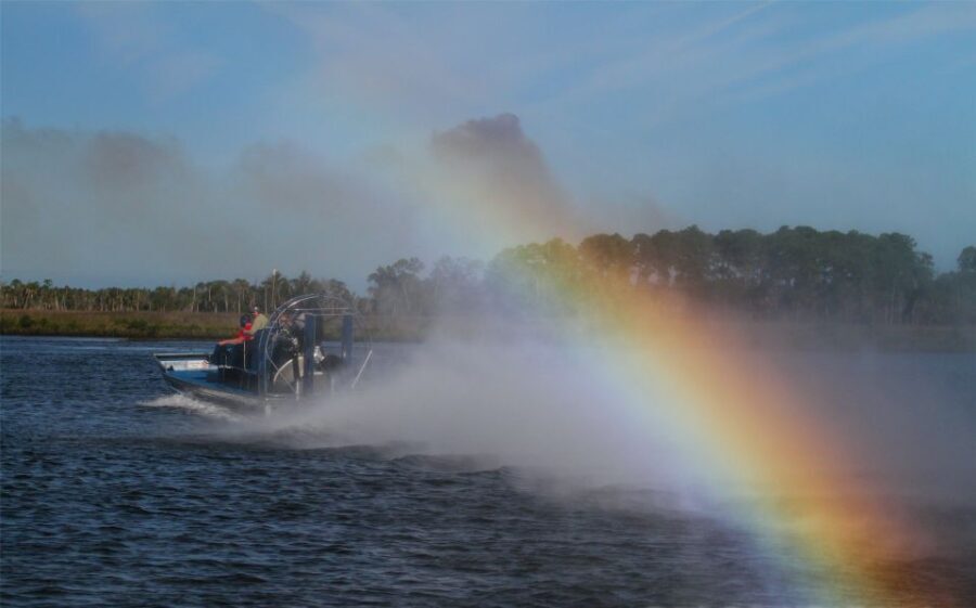 Homosassa: Gulf of Mexico Airboat Ride and Dolphin Watching - Who Will Love This Tour?