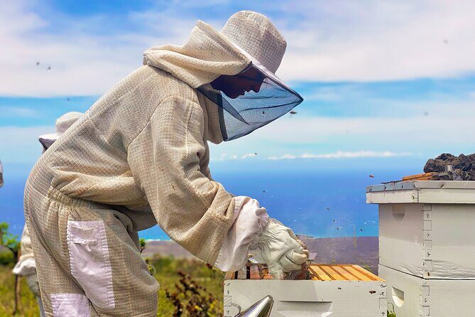Honey Bee Adventure at the Maui Honey Bee Sanctuary - Practical Details & Tips