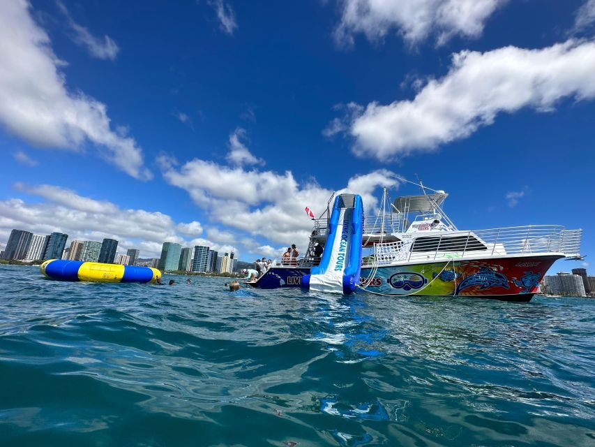 Honolulu: Deluxe Waikiki Snorkel and Wildlife Cruise - Who is This Tour Best For?