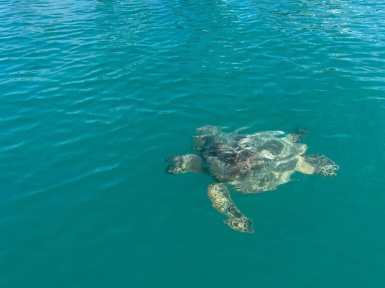 Honolulu: Intro to Stand-Up Paddling Class - What’s Included and What’s Not